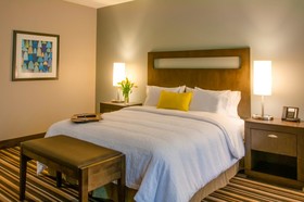 Hampton Inn & Suites Denver Downtown-Convention Center