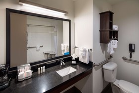 Hampton Inn & Suites Denver Downtown-Convention Center