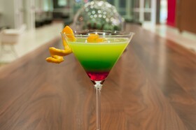 Homewood Suites by Hilton Denver Downtown-Convention Center