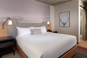 Hotel Indigo Denver Downtown