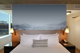 Hotel Indigo Denver Downtown