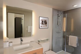 Hotel Indigo Denver Downtown
