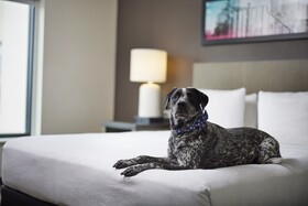 Hyatt House Denver/Downtown