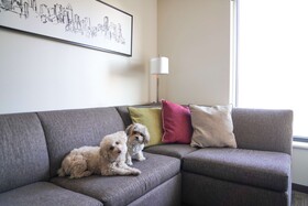 Hyatt House Denver/Downtown