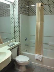 Microtel Inn & Suites by Wyndham Denver