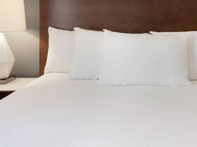 Plaza Hotel Denver Central