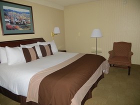 Ramada by Wyndham Denver Downtown