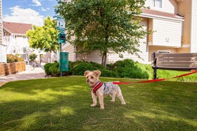 Residence Inn Denver Downtown