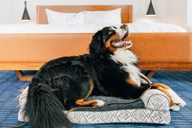 The Maven Hotel