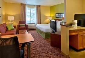 TownePlace Suites by Marriott Denver Downtown
