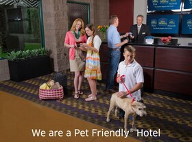 Best Western Ptarmigan Lodge