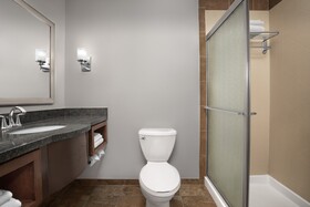 Holiday Inn Hotel & Suites Durango Central