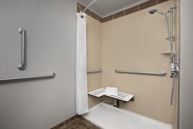 Holiday Inn Hotel & Suites Durango Central