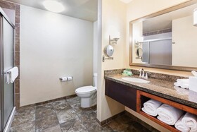 Holiday Inn Hotel & Suites Durango Central