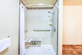 Holiday Inn Hotel & Suites Durango Central