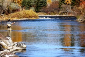 Best Western Plus Eagle/Vail Valley