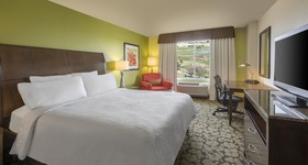 Hilton Garden Inn Denver South Park Meadows Area