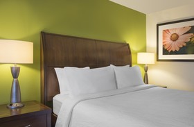 Hilton Garden Inn Denver South Park Meadows Area
