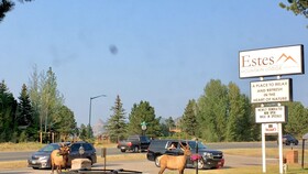 Estes Mountain Inn