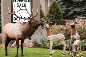 Quality Inn Near Rocky Mountain National Park
