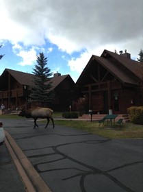 Rams Horn Village Resort