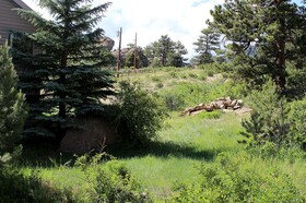 Sunnyside Knoll 16