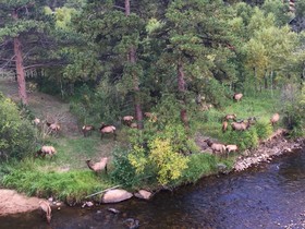 The Landing at Estes Park