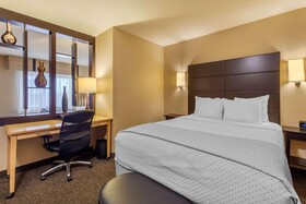 Cambria Suites Fort Collins