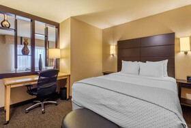 Cambria Suites Fort Collins