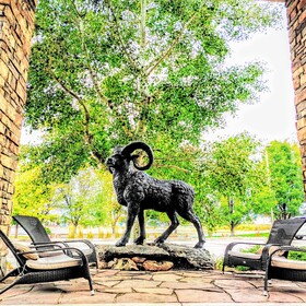 Comfort Inn Fort Collins