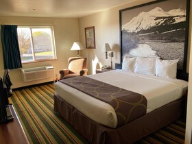 Super 8 by Wyndham Windsor