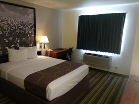 Super 8 by Wyndham Windsor