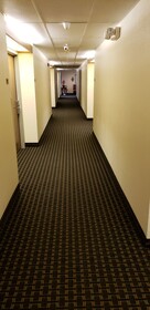 Super 8 by Wyndham Windsor