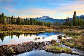 Alante Vista by Stay Winter Park