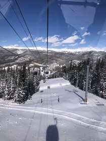 Foxpine Inn