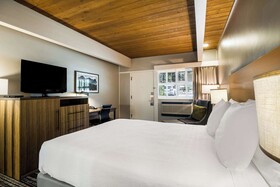 Best Western Antlers