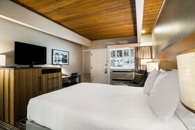 Best Western Antlers