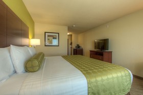Cobblestone Inn & Suites Holyoke