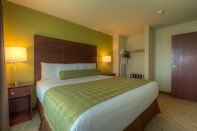 Cobblestone Inn & Suites Holyoke
