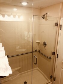 Best Western Plus Hudson Hotel & Suites