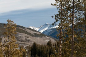 Evergreen Condominiums