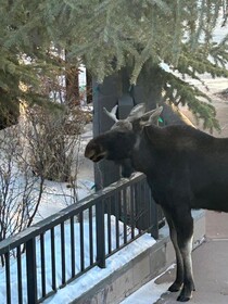 Snake River Village by Summit County Mountain Retreats