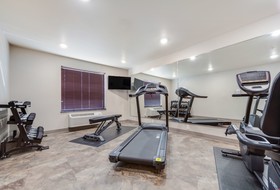 Cobblestone Hotel & Suites - Lamar