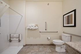 Cobblestone Hotel & Suites - Lamar