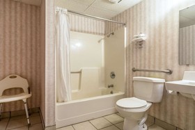Rodeway Inn