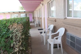 Safari Inn