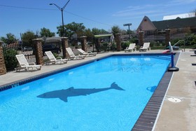 Safari Inn