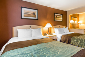 Quality Inn & Suites