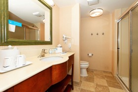Hampton Inn Montrose