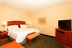 Hampton Inn Montrose
